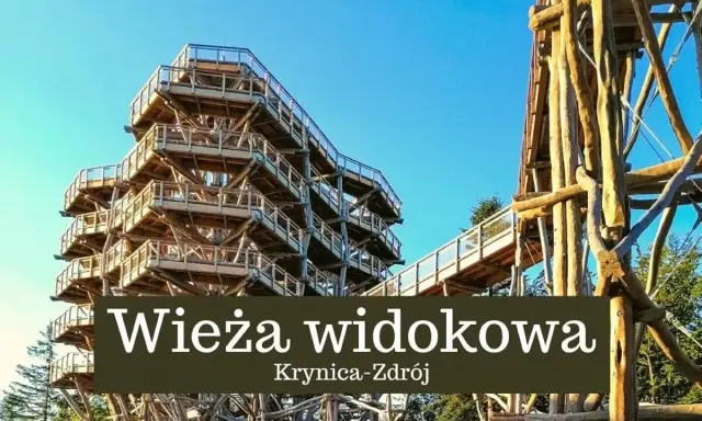 Drewniana wieża widokowa wznosi się ku niebu, oferując spacer ścieżką w koronach drzew.