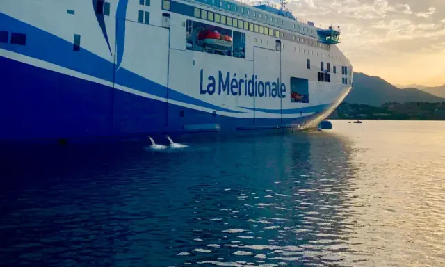 Le ferry "La Méridionale" se prépare à partir, le ballast navire est ajusté pour la traversée. L'eau reflète le ciel doré.