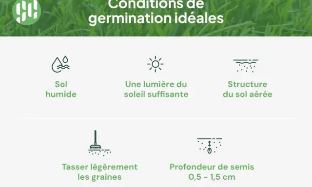 Conditions idéales pour quand planter du gazon : sol humide, soleil, sol aéré, graines tassées à 0,5-1,5 cm.