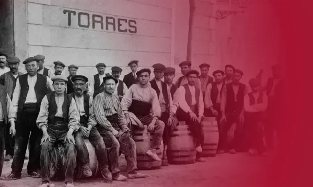 Trabajadores de Torres, donde se elabora el vino Sangre de Toro.