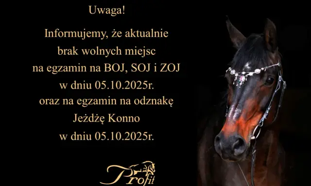 Twój przewodnik: Odznaka "Jeżdżę Konno" PZJ zdaj za 1 razem!