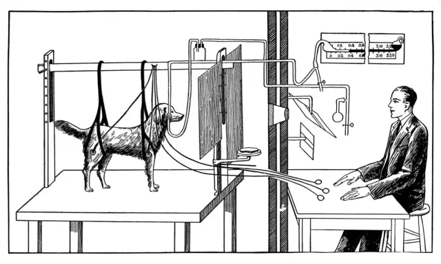 Illustration d'un chien de Pavlov suspendu, relié à des appareils, observant un homme en blouse qui manipule des commandes.