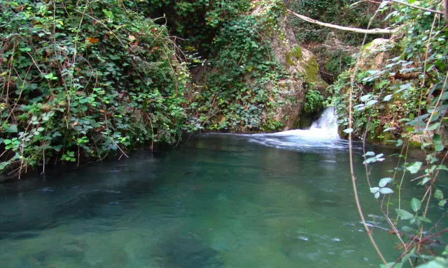 Agua cristalina en una **piscina natural** de Letur, rodeada de vegetación exuberante y rocas cubiertas de musgo.