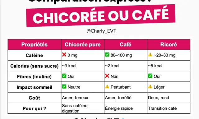 Tableau comparatif : la chicorée pure, sans caféine, est riche en fibres (inuline), idéale pour la digestion. Le café et le ricoré en contiennent aussi.