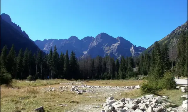 Widok na Tatry, gdzie szczyty rysy 2499 czy 2503 górują nad lasem i kamienistą doliną.