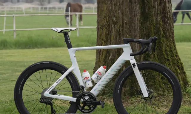 Mathieu van der Poel's white Canyon bike, ready for a race, stands by a tree. Horses graze in the background.
