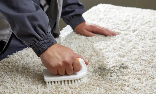 Persona usa un cepillo para limpiar alfombra con bicarbonato, eliminando manchas y malos olores.