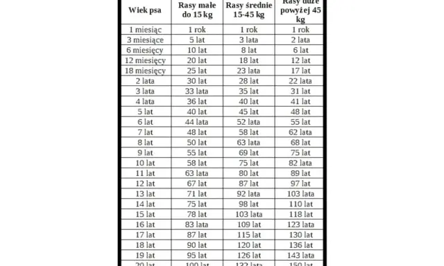 Tabela pokazuje, jak liczy się psie lata w zależności od rasy i wagi psa.