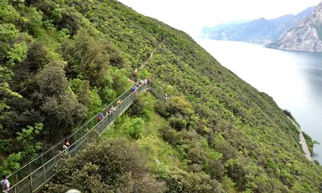 Sentiero panoramico con passerella in Trentino, ideale per passeggiate facili con vista lago.