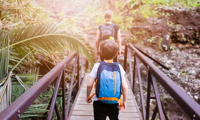 Bambini con zaini attraversano un ponte di legno in un sentiero lussureggiante, un'avventura perfetta per il tuo viaggio a Tenerife con bambini.