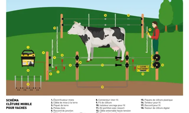 Illustration d'une installation de clôture électrique mobile pour vaches, montrant l'électrificateur, les piquets, les fils et un testeur.