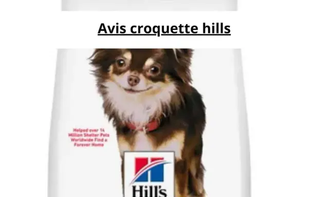Chien chihuahua sur un sac de croquettes Hill's.