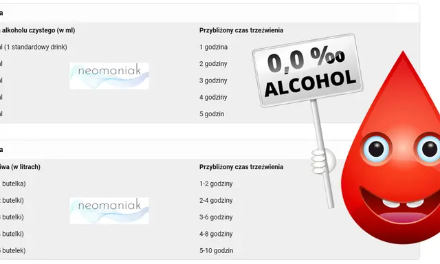5 piw ile godzin? Prawda o trzeźwieniu i bezpiecznej jeździe