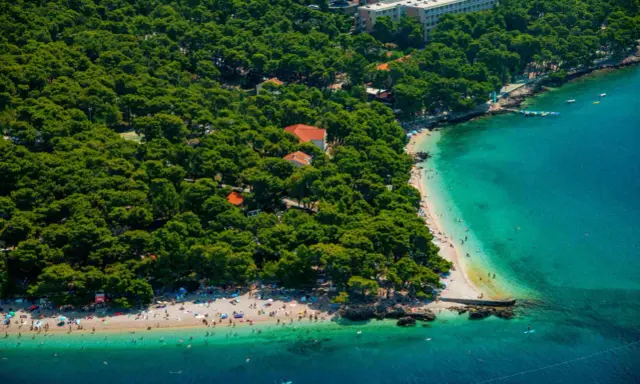 Malownicza plaża na punta rata chorwacja, otoczona sosnowym lasem, z turkusową wodą i wypoczywającymi ludźmi.