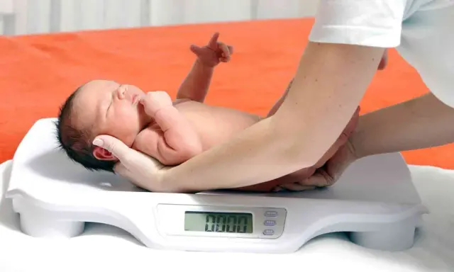 Neonato su bilancia, monitoraggio del calo fisiologico. Le mani sorreggono il piccolo durante la pesata.