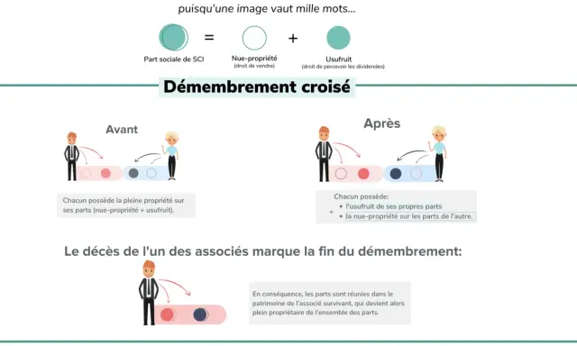 Schéma expliquant le démembrement croisé de parts de SCI, une stratégie pour la résidence principale.