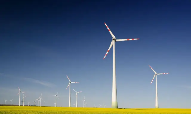 Windräder im Rapsfeld unter blauem Himmel. Ein Zeichen für die Zukunft der Energieversorgung, wie sie die EEG Ausschreibung fördert.