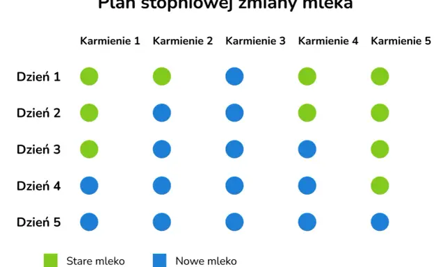 Plan stopniowej zmiany mleka: zielone kropki to stare mleko, niebieskie to nowe. Schemat pokazuje, jak zmienić mleko modyfikowane w ciągu 5 dni.