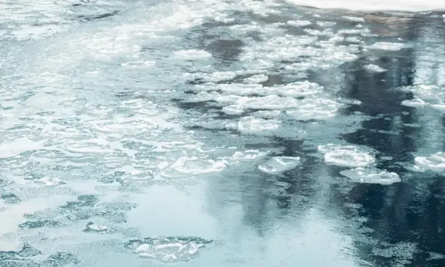 Na wodzie unoszą się kawałki lodu, tworząc śryż. Woda jest ciemna, odbija niebo i drzewa.