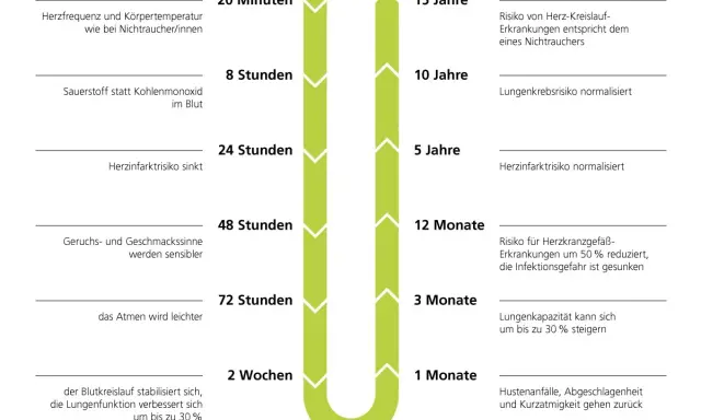 Zeitstrahl zeigt die Vorteile des Nichtrauchens: Herzfrequenz normalisiert sich, Risiko für Herzinfarkt und Lungenkrebs sinkt, Lungenkapazität steigt.