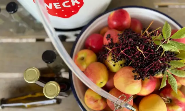 Äpfel und Holunderbeeren warten auf die Verarbeitung. Ein Schlauch führt zum Dampfentsafter, bereit für die Saftgewinnung.