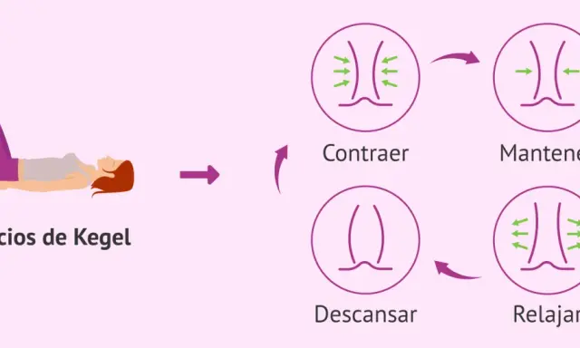 Ilustración de ejercicios de Kegel: mujer tumbada, ciclo de contracción, mantener, relajación y descanso del músculo pubococcigeo.