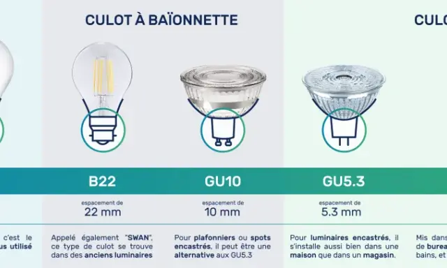 Comparaison des types de culots d'ampoules : à vis (E14, E27), à baïonnette (B22) et à broches (GU10, GU5.3, G4, G9). Le culot, c'est la base qui se visse ou se clipse.