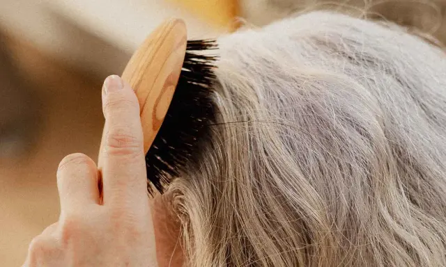 Une main brosse des cheveux gris, secs, peut-être liés à la ménopause, avec une brosse en bois.