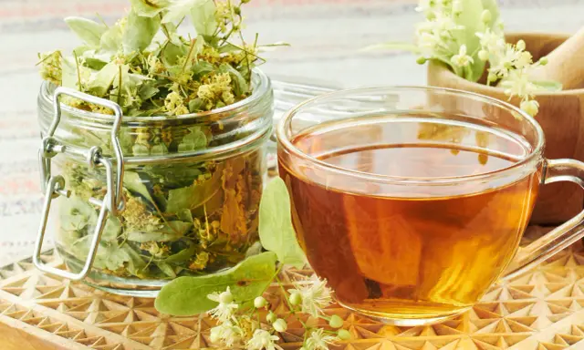 Infusion de tilleul, avec des fleurs fraîches et séchées. Bien que réputée pour ses bienfaits, une consommation excessive de tilleul infusion effet secondaire peut survenir.