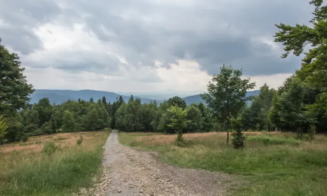 Kamienista ścieżka prowadzi przez trawiaste zbocze ku lasowi. W oddali widać pasma górskie pod pochmurnym niebem. To miejsce, gdzie można poczuć się jak na hrobaczej łące.