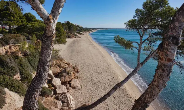 Blick auf den Strand von Calafell, Spanien, mit Pinien im Vordergrund und dem türkisfarbenen Meer.