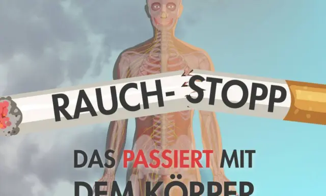 Rauch-Stopp: Ein zerbrochenes Zigarettenstück überlagert die Darstellung eines menschlichen Körpers mit Nerven und Knochen. Der Text darunter warnt: "Das passiert mit dem Körper". Der Puls des Körpers wird durch das Rauchen beeinträchtigt.