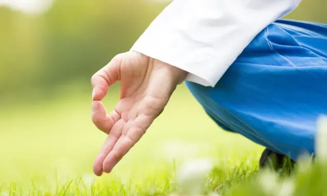En hand i mudra, klädd i vitt och blått, vilar på gräset. Kirtan kriya forskning visar hur denna meditation kan påverka välbefinnandet.