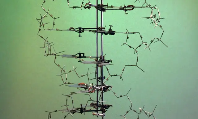 Modelo tridimensional de la doble hélice del ADN, un hito en la historia del adn. Muestra la estructura molecular con sus bases nitrogenadas.