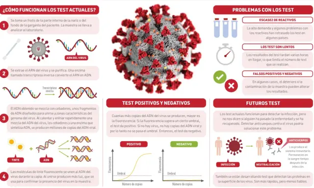 Ilustración explica cómo funciona un test PCR para detectar el ARN del virus, mostrando el proceso de amplificación y detección.