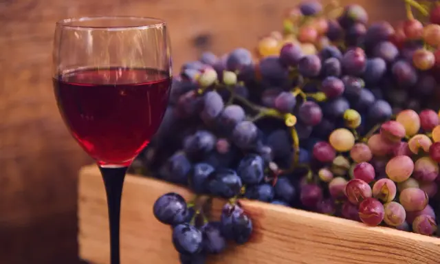 Wino z winogron krok po kroku: Twój pierwszy sukces w domowej piwniczce.