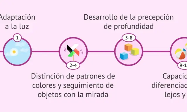 Desarrollo visual del bebé: 1 mes (adaptación a la luz), 2-4 meses (distinción de colores), 5-8 meses (percepción de profundidad), 9-12 meses (diferenciación lejos/cerca).