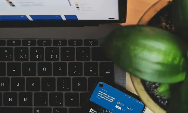 Laptop, telefon i roślina tworzą scenę dla kampanii brandowej.