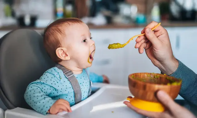 Ein Baby sitzt im Hochstuhl und bekommt von einer Hand mit einem Löffel Babybrei mit Fleisch gefüttert.