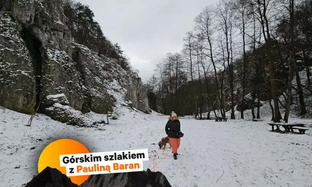 Zimowe jednodniowe wycieczki w góry z Krakowa. Kobieta z psem spaceruje po ośnieżonym szlaku wśród skał i drzew.