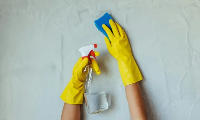 Ręce w żółtych rękawiczkach czyszczą ścianę. Jedna ręka trzyma butelkę z płynem, druga gąbkę. To nie jest grzyb w mieszkaniu, to czyszczenie.