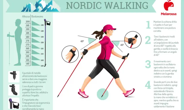 Guida al nordic walking: postura corretta, uso dei bastoncini e movimento oscillatorio per un allenamento efficace.