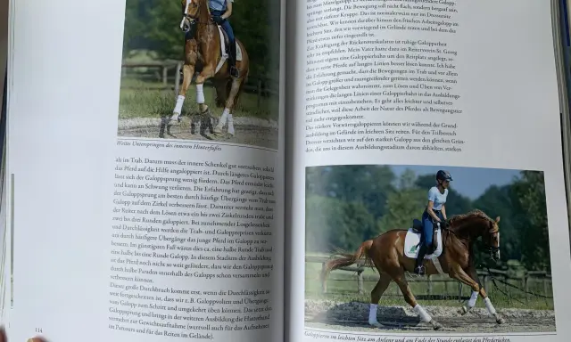 Reiterin mit braunem Pferd im Galopp, Dr. Klimke im leichten Sitz.