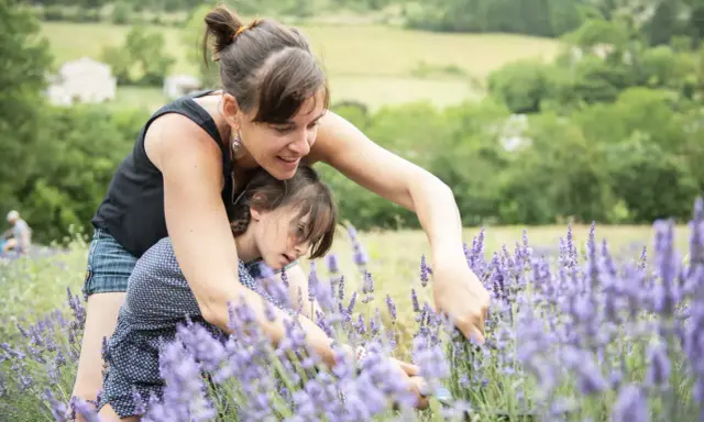 Une mère et sa fille cueillent de la lavande dans un champ. Au loin, une maison et des collines verdoyantes.