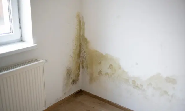 Manchas de moho y humedad en la esquina de una habitación, junto a una ventana y un radiador. Es hora de arreglar humedades.