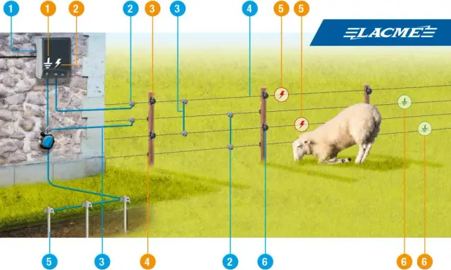 Schéma de branchement d'une clôture électrique : le boîtier, les fils, les piquets et la mise à la terre pour un mouton en sécurité.