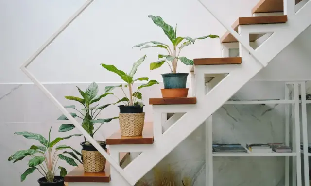 Plantas en macetas de mimbre decoran la subida de escalera interior, aportando vida y frescura.
