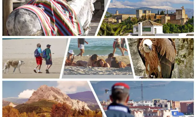 Bunte Collage mit Esel, Alhambra, Strandleben, Geier und Berglandschaft – typische Eindrücke für Spanien Ferien.