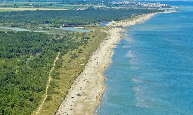 Lunga spiaggia sabbiosa con pineta alle spalle e mare azzurro. Alcune persone prendono il sole, creando un'atmosfera rilassata da spiaggia nudisti.