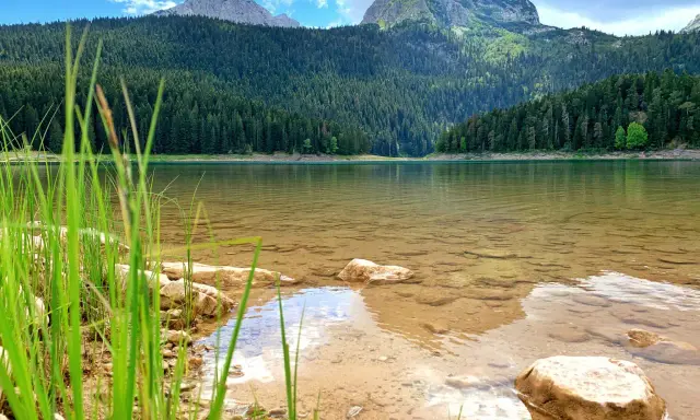 Spokojne jezioro w Durmitor National Park, otoczone gęstym lasem iglastym i majestatycznymi górami.